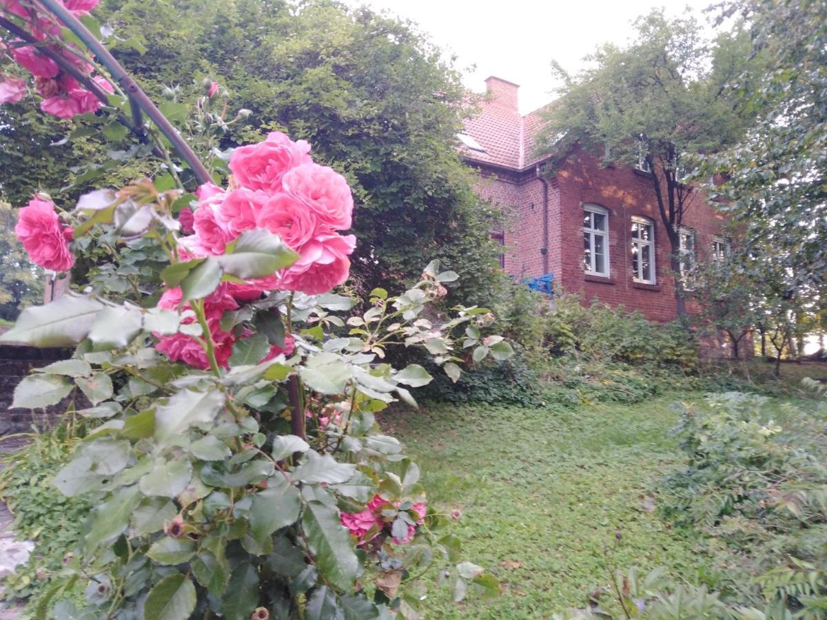 Alte Schule Am See Biskupiec  Luaran gambar