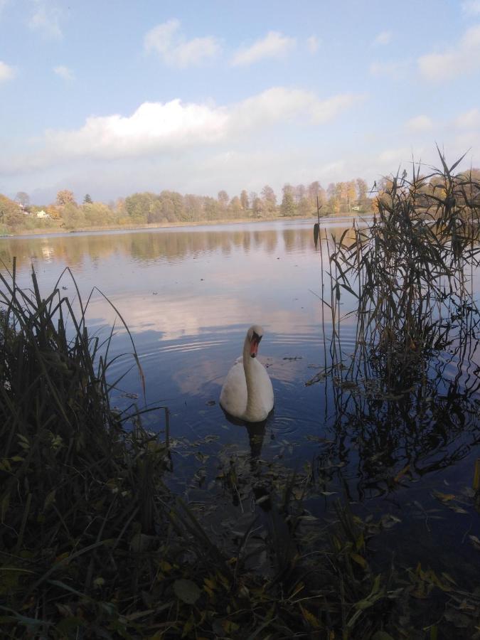 Alte Schule Am See Biskupiec  Luaran gambar